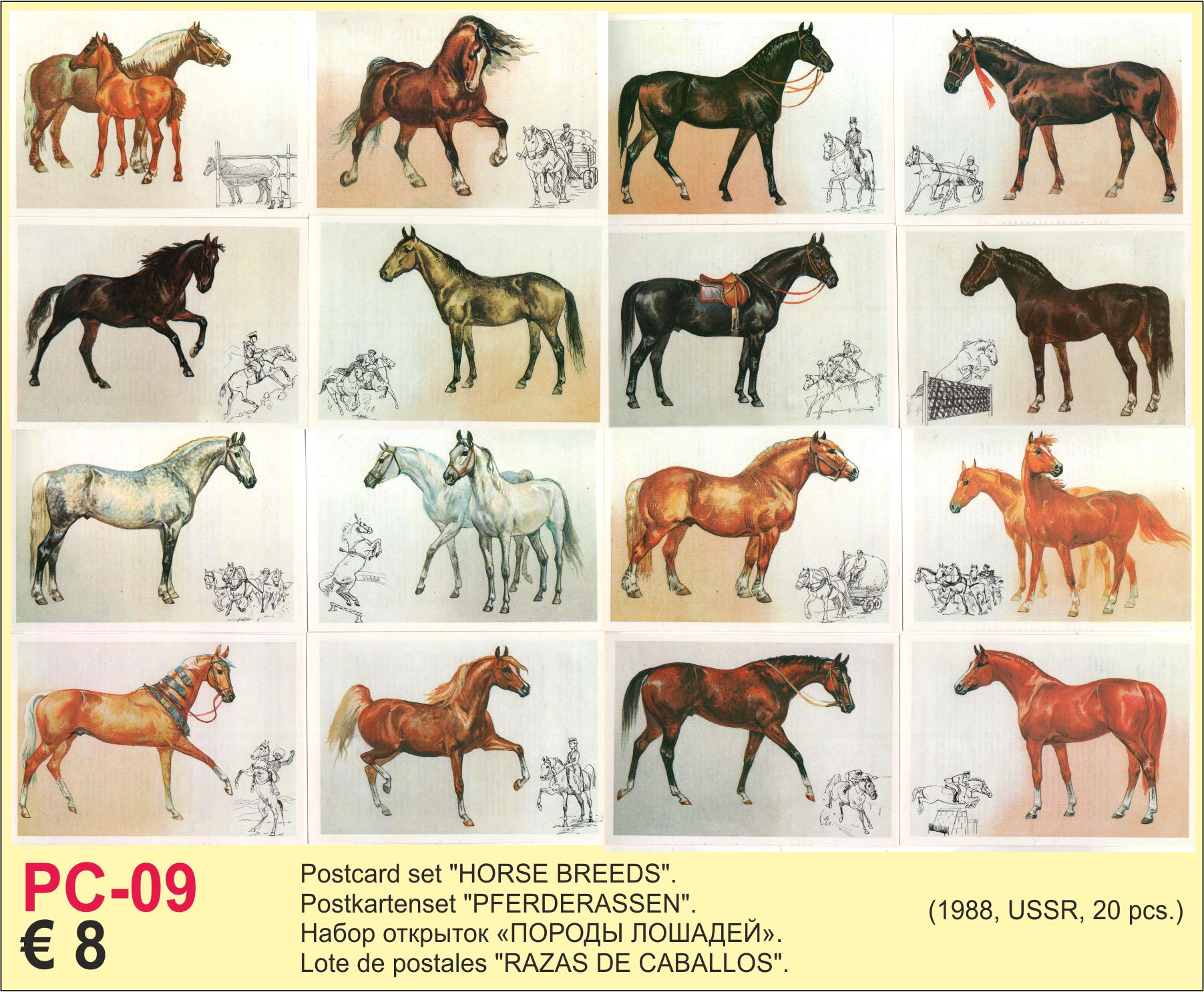 Postcards horses 16x